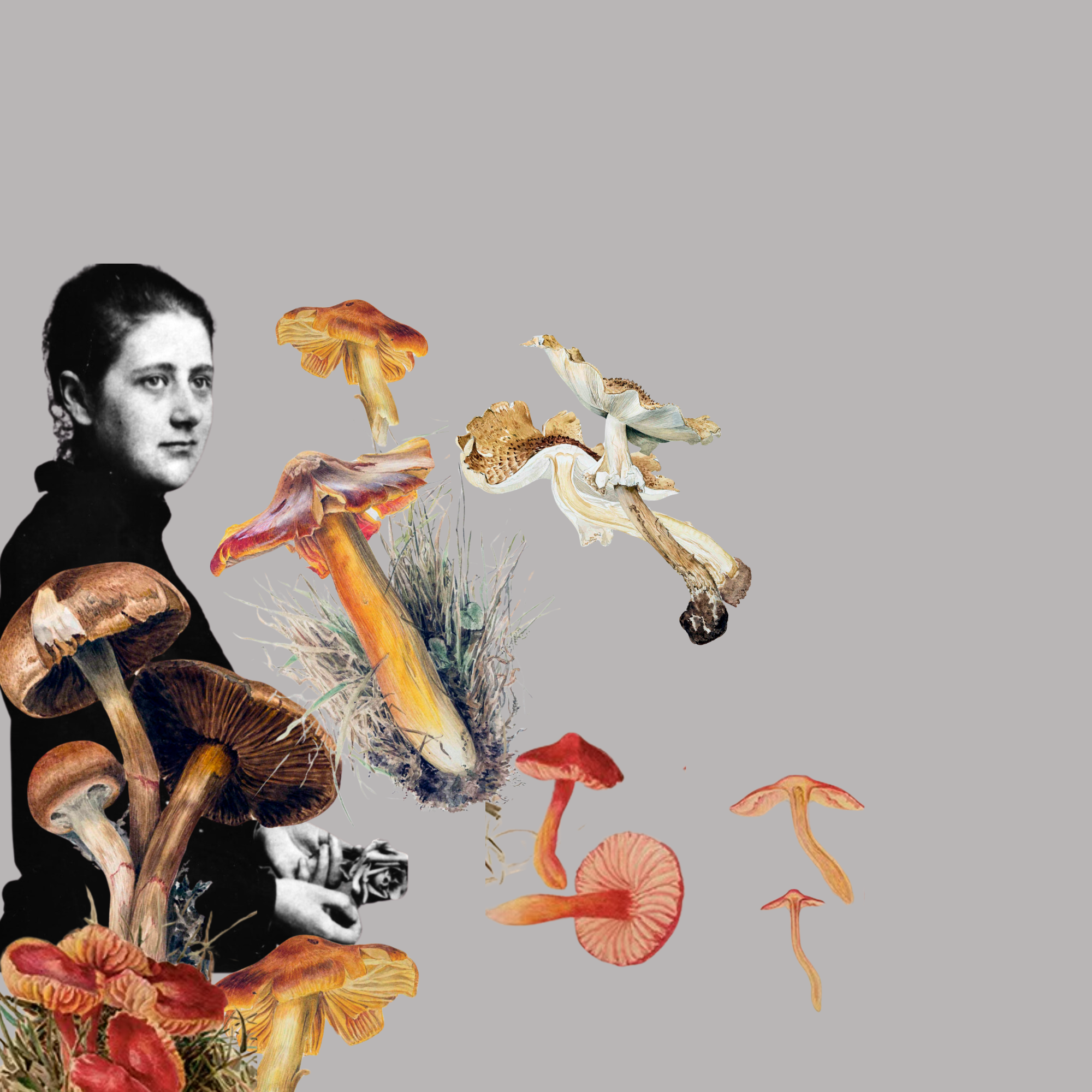The Untold Story of Beatrix Potter: A Mushroom Pioneer